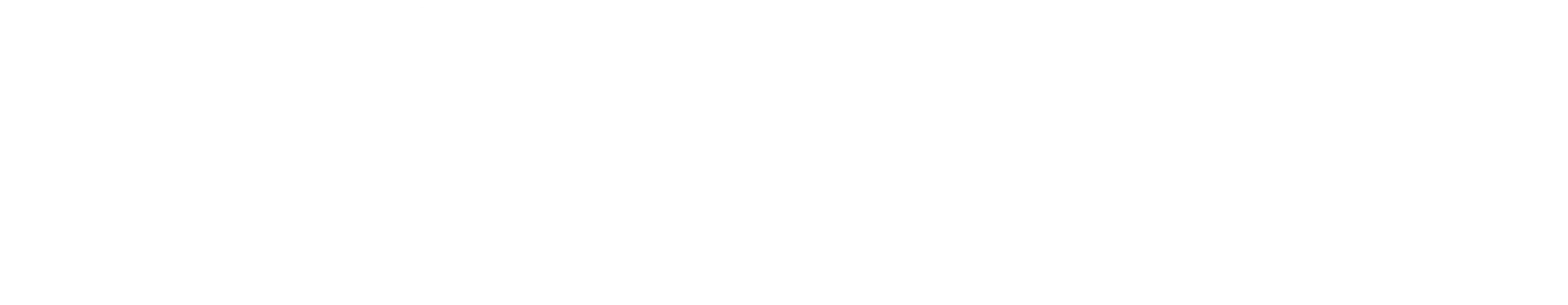 Duży biały napis BOLAN na czarnym tle w prostej, minimalistycznej formie, bez dodatkowych elementów graficznych